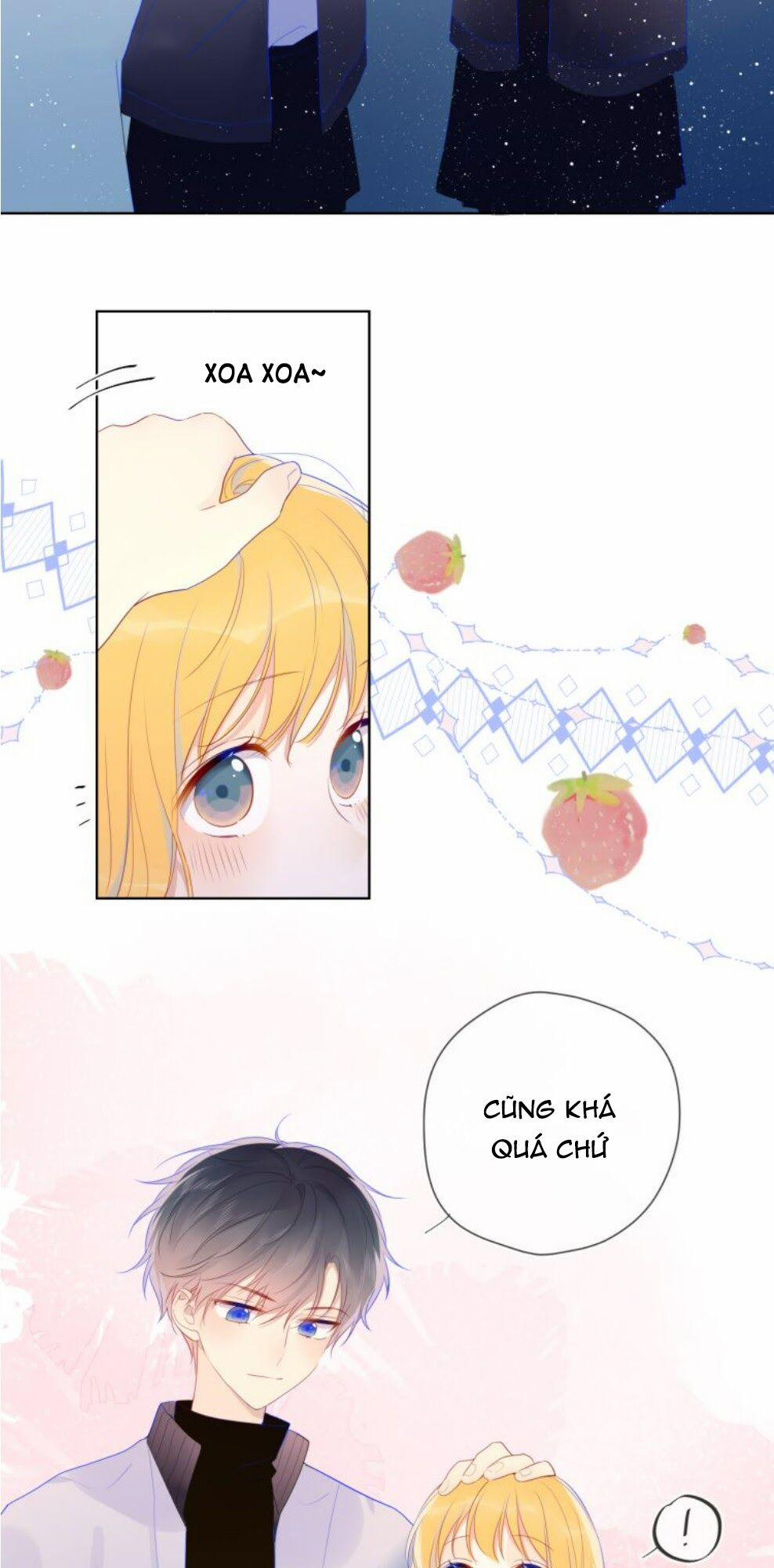 Ngôi Sao Cho Tôi 26 trang 5