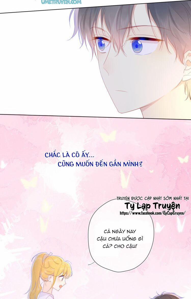 Ngôi Sao Cho Tôi 29 trang 11