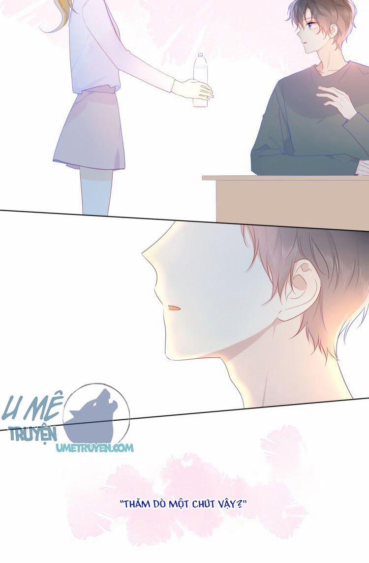 Ngôi Sao Cho Tôi 29 trang 12