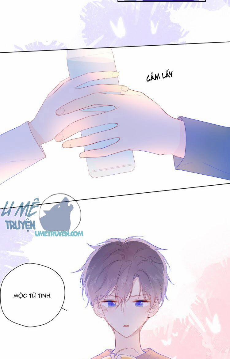 Ngôi Sao Cho Tôi 29 trang 14