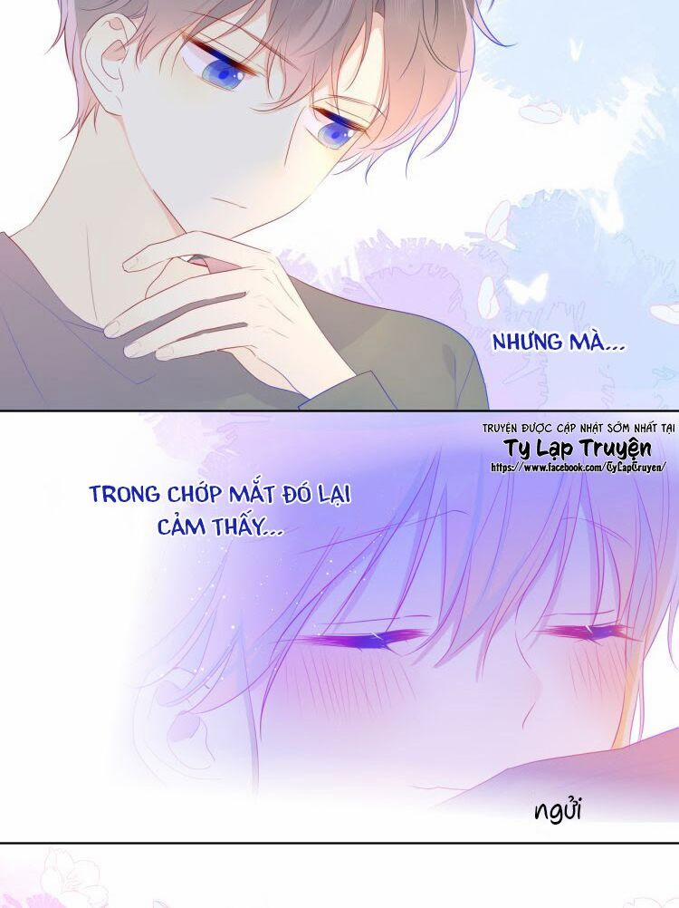 Ngôi Sao Cho Tôi 29 trang 8