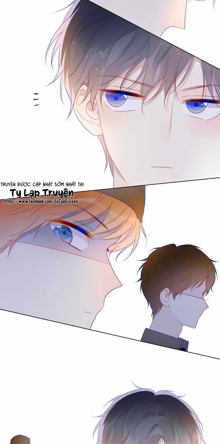 Ngôi Sao Cho Tôi 30 trang 14