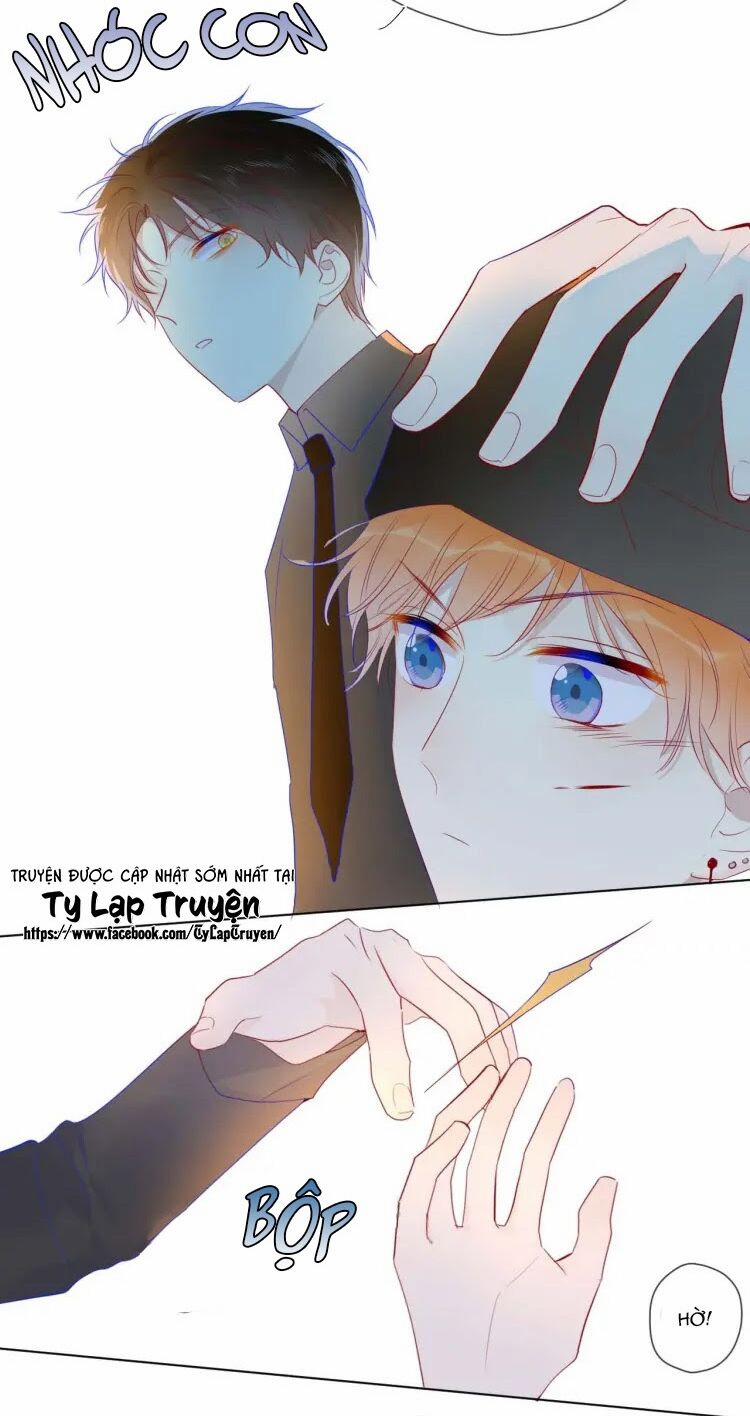 Ngôi Sao Cho Tôi 30 trang 4