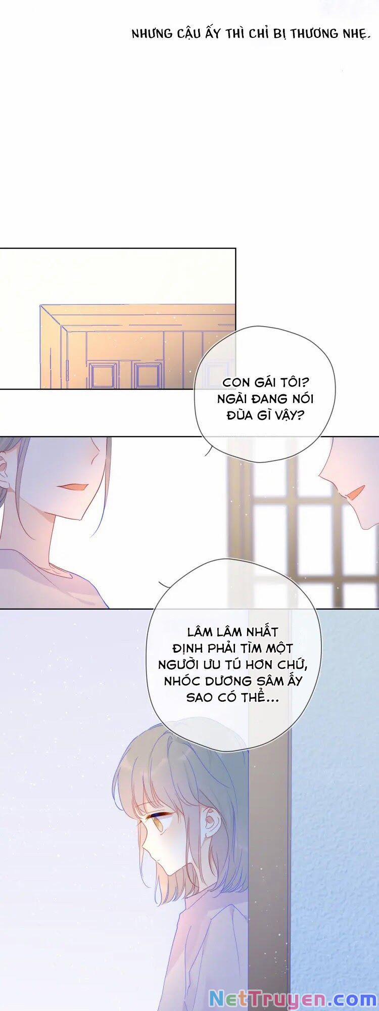 Ngôi Sao Cho Tôi 36 trang 11