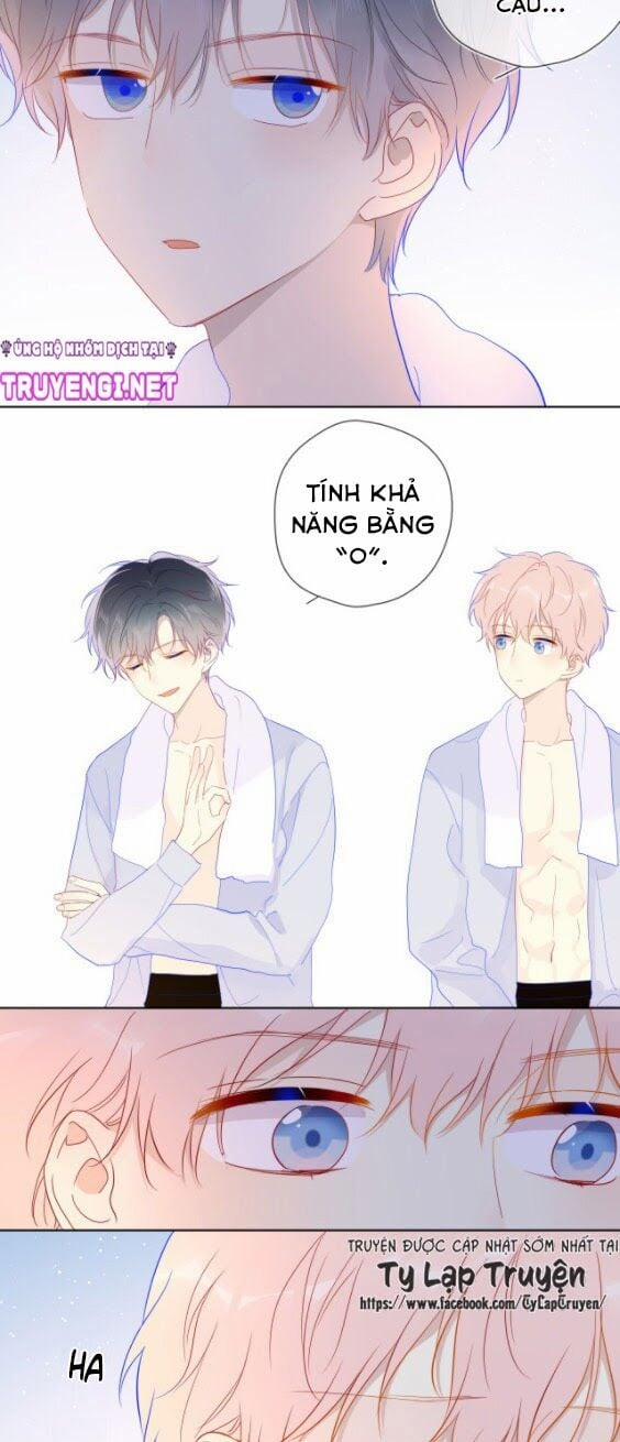 Ngôi Sao Cho Tôi 37 trang 17