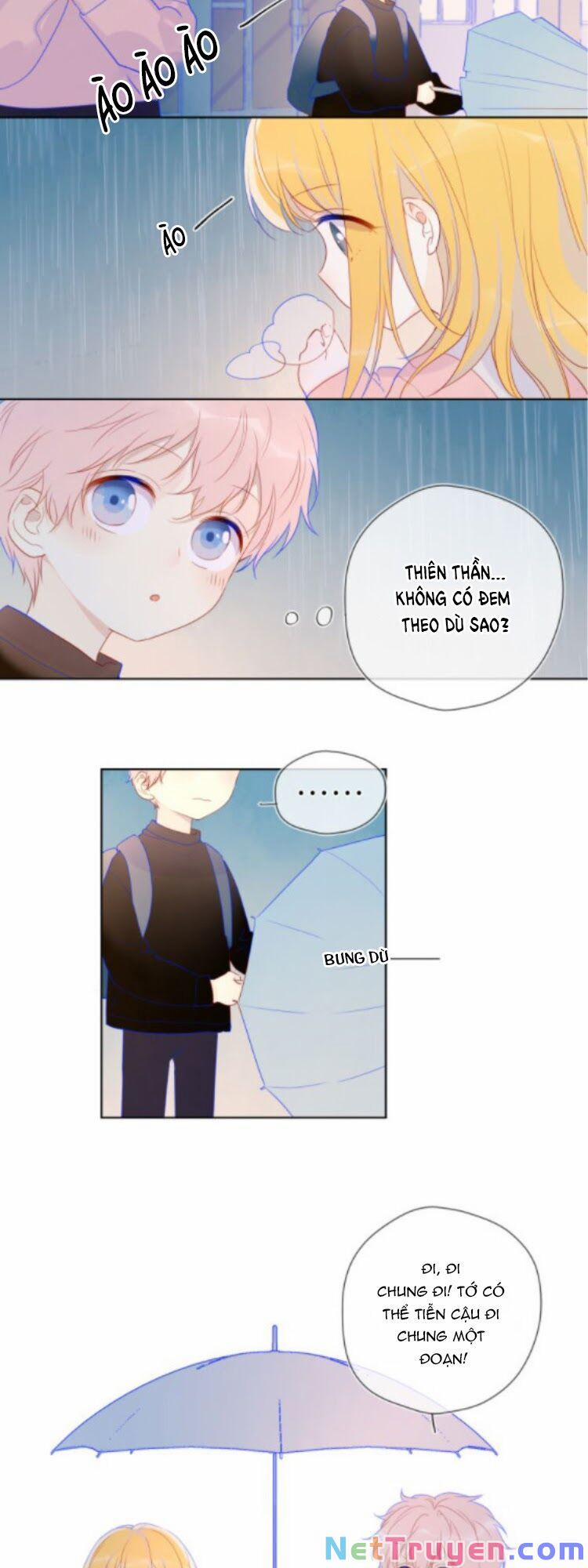 Ngôi Sao Cho Tôi 38.1 trang 12