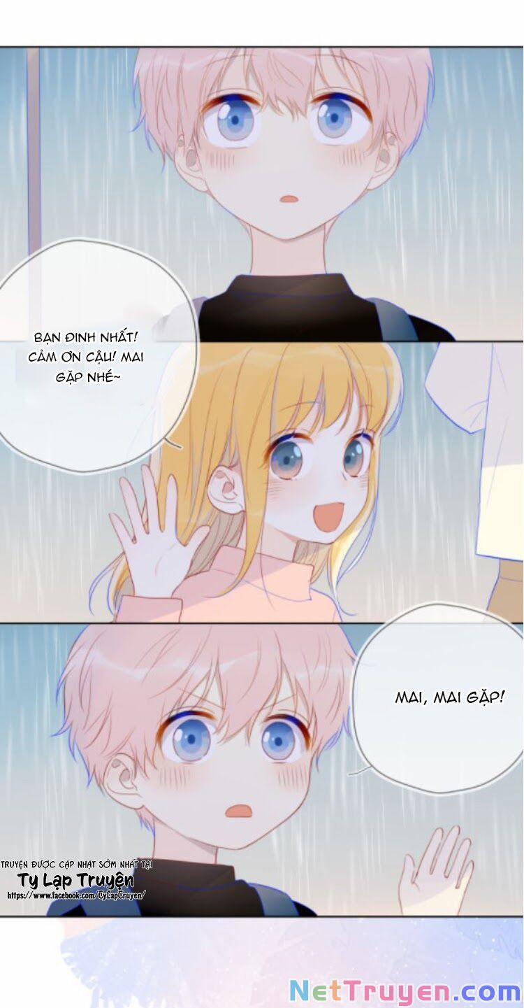 Ngôi Sao Cho Tôi 38.1 trang 17