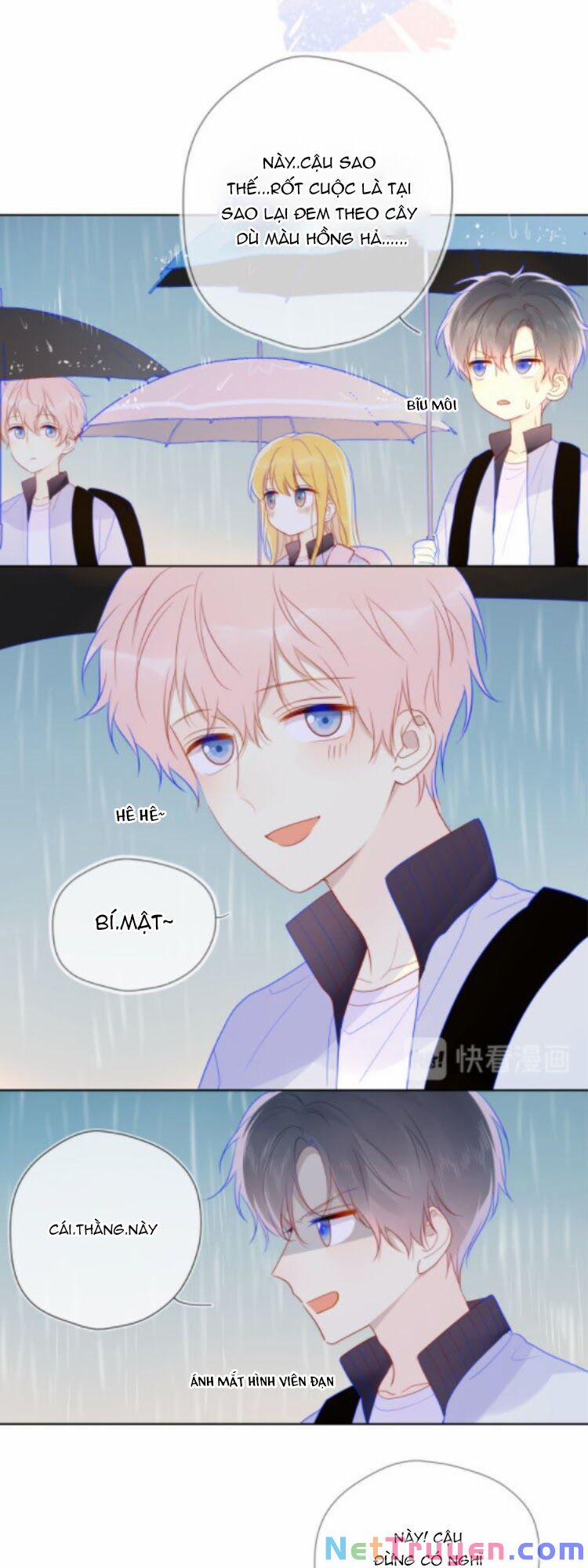 Ngôi Sao Cho Tôi 38.1 trang 19