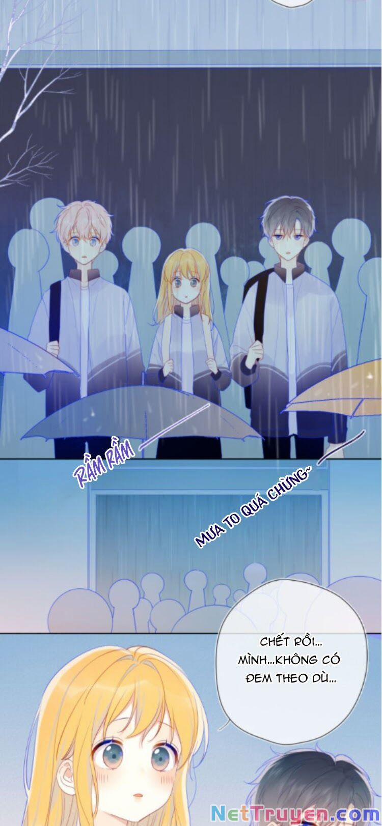 Ngôi Sao Cho Tôi 38.1 trang 2