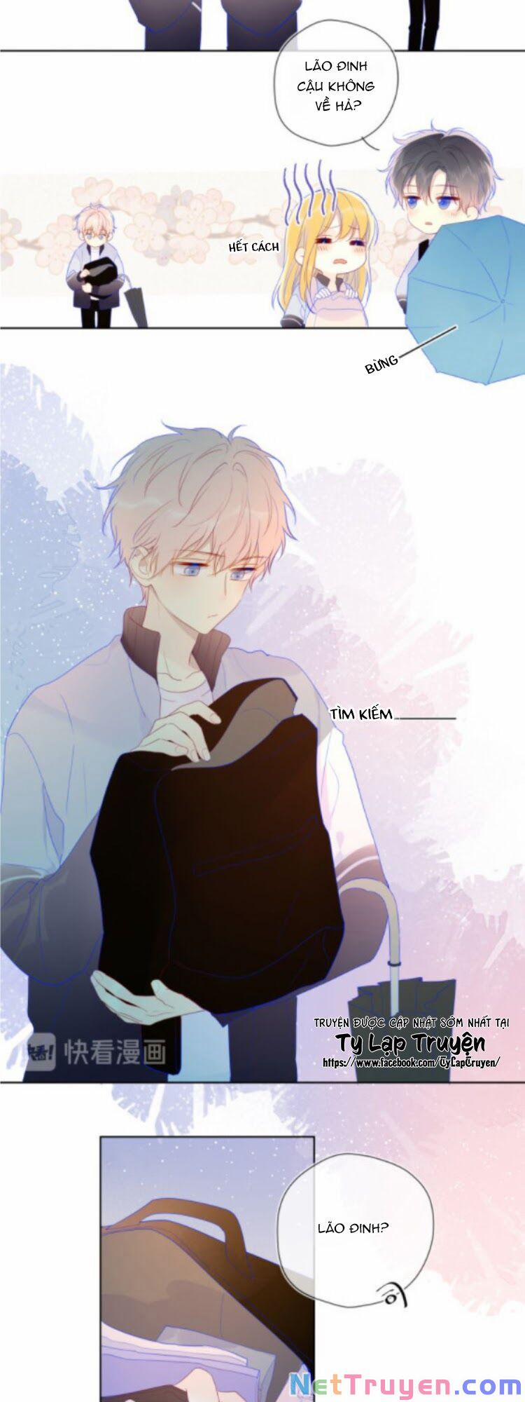 Ngôi Sao Cho Tôi 38.1 trang 5