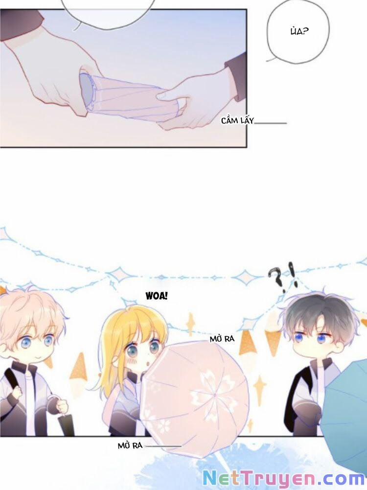 Ngôi Sao Cho Tôi 38.1 trang 7