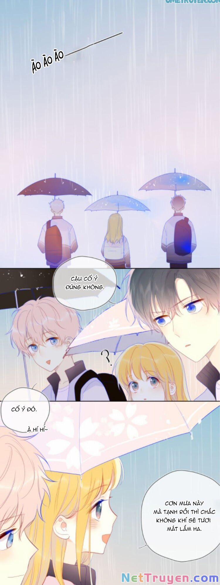 Ngôi Sao Cho Tôi 38.1 trang 9