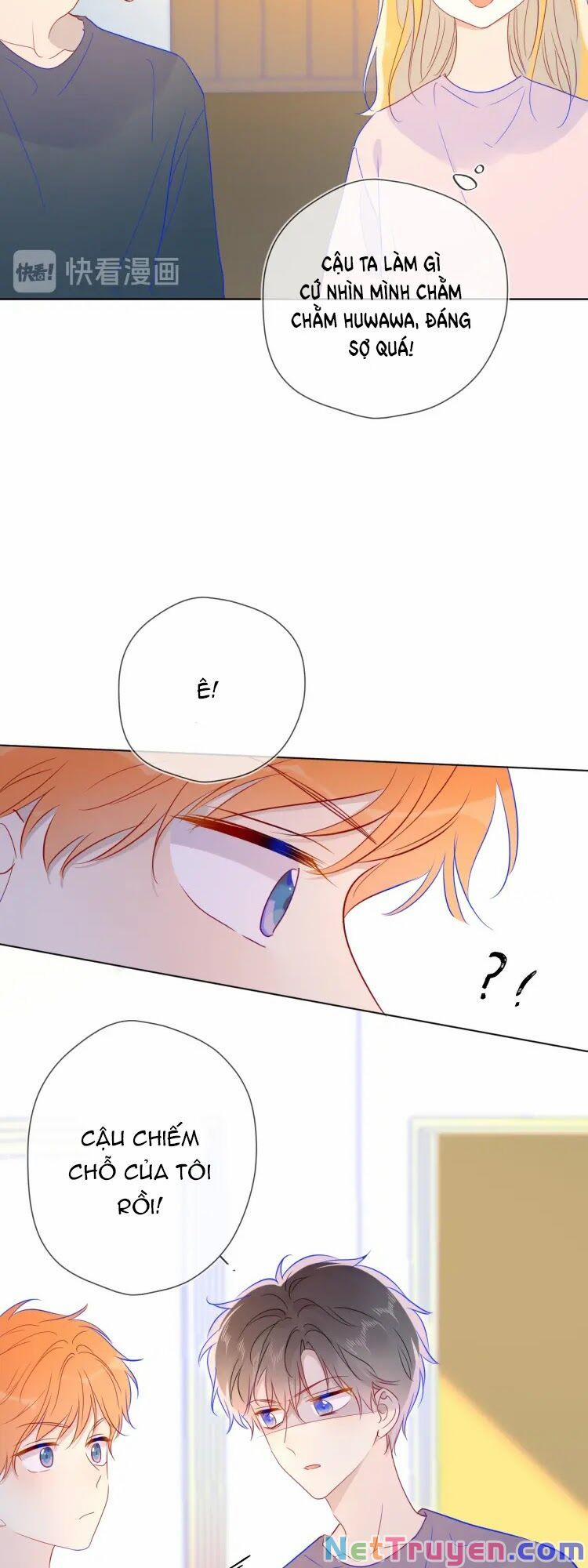 Ngôi Sao Cho Tôi 39 trang 14