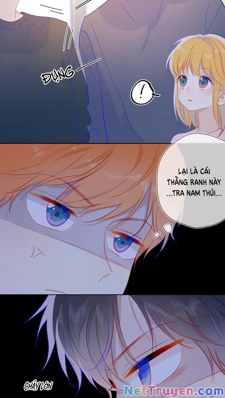 Ngôi Sao Cho Tôi 39 trang 15