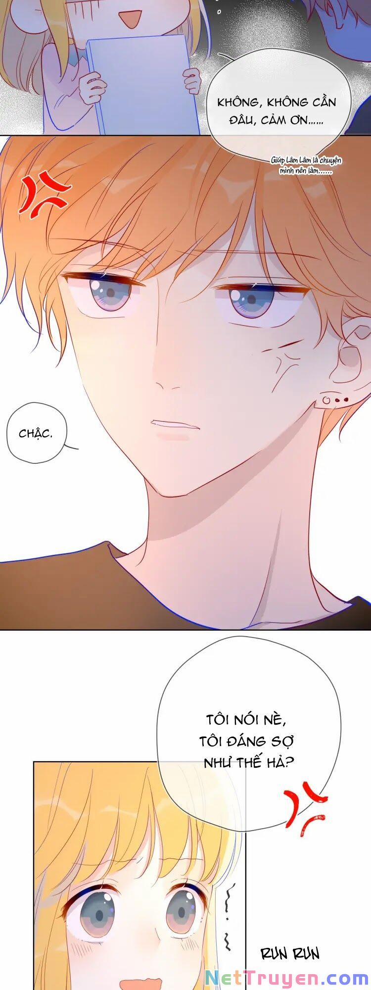 Ngôi Sao Cho Tôi 40 trang 11