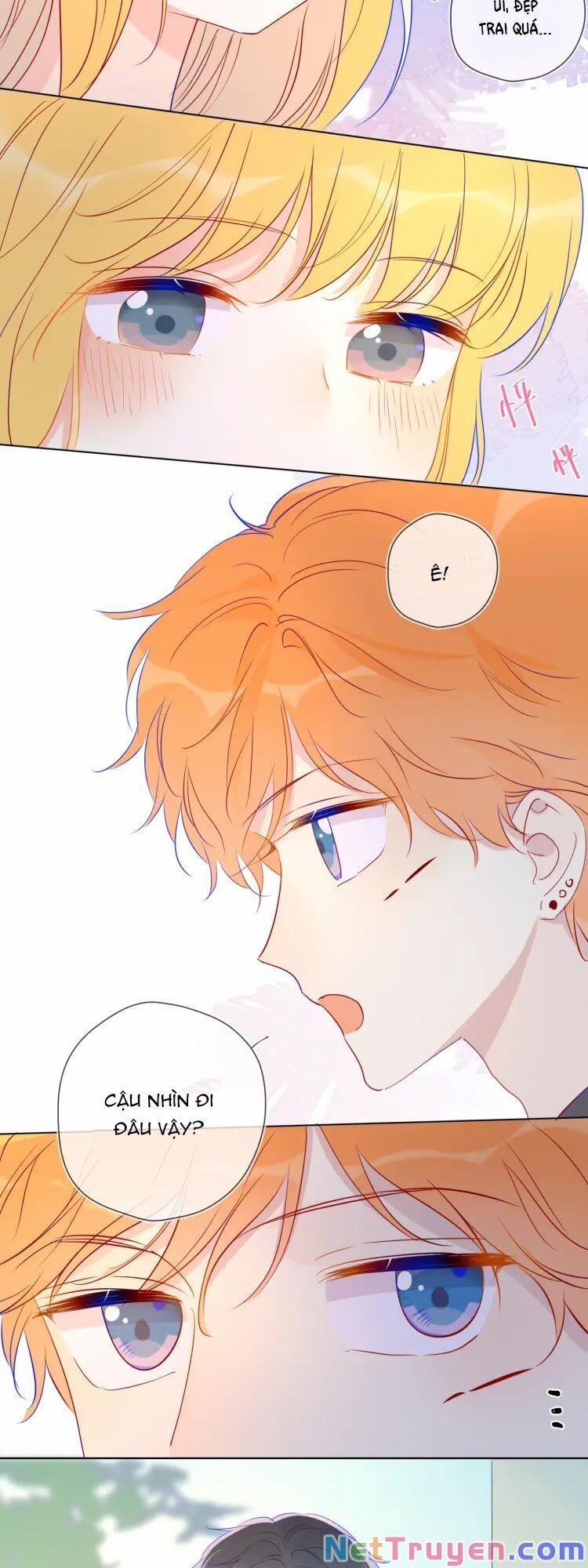 Ngôi Sao Cho Tôi 40 trang 19