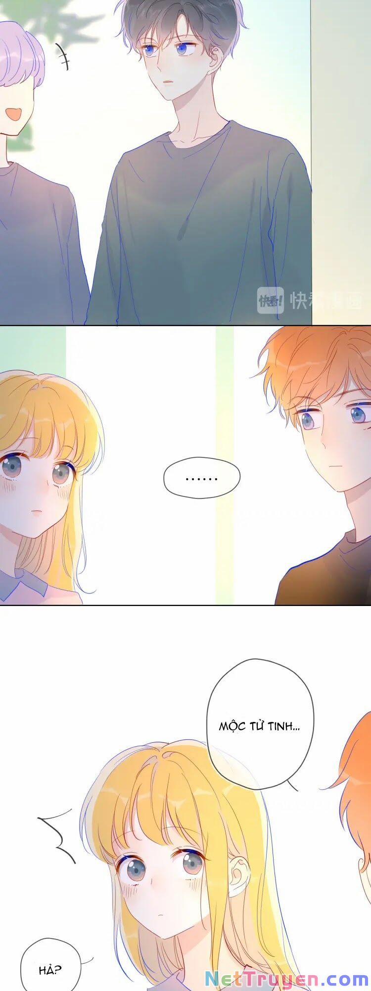 Ngôi Sao Cho Tôi 40 trang 20