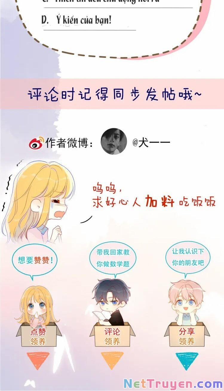 Ngôi Sao Cho Tôi 40 trang 24