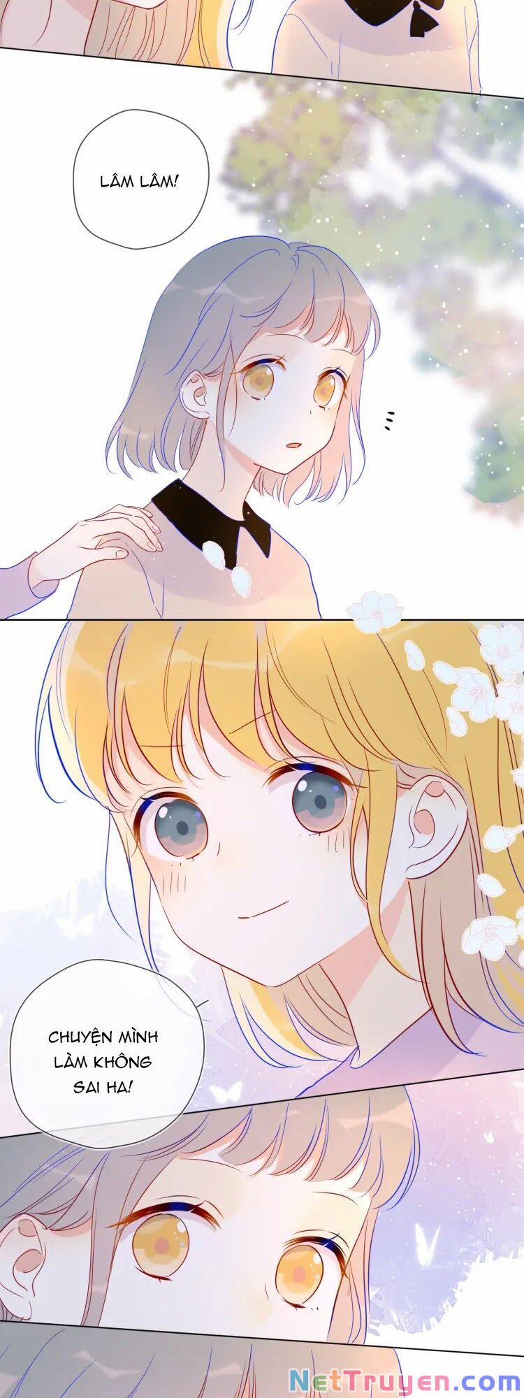 Ngôi Sao Cho Tôi 40 trang 4