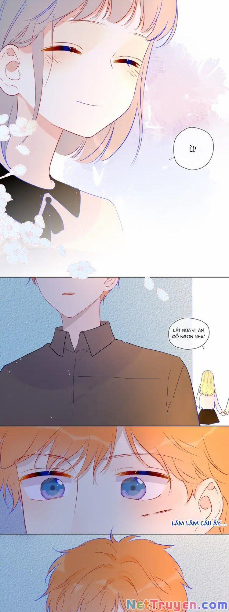 Ngôi Sao Cho Tôi 40 trang 5