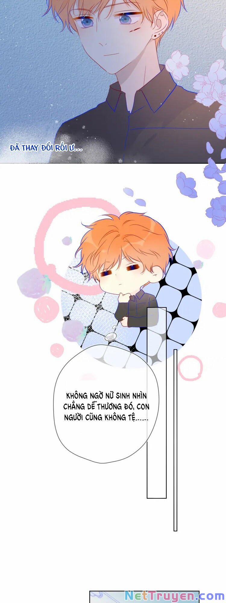 Ngôi Sao Cho Tôi 40 trang 6