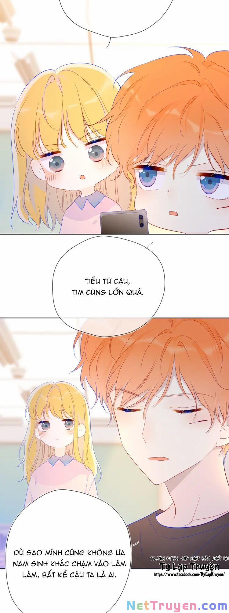 Ngôi Sao Cho Tôi 41 trang 12