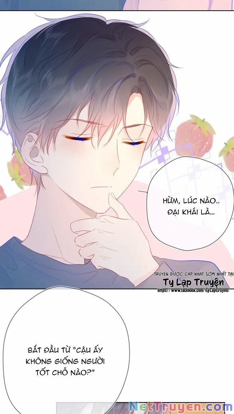 Ngôi Sao Cho Tôi 41 trang 14