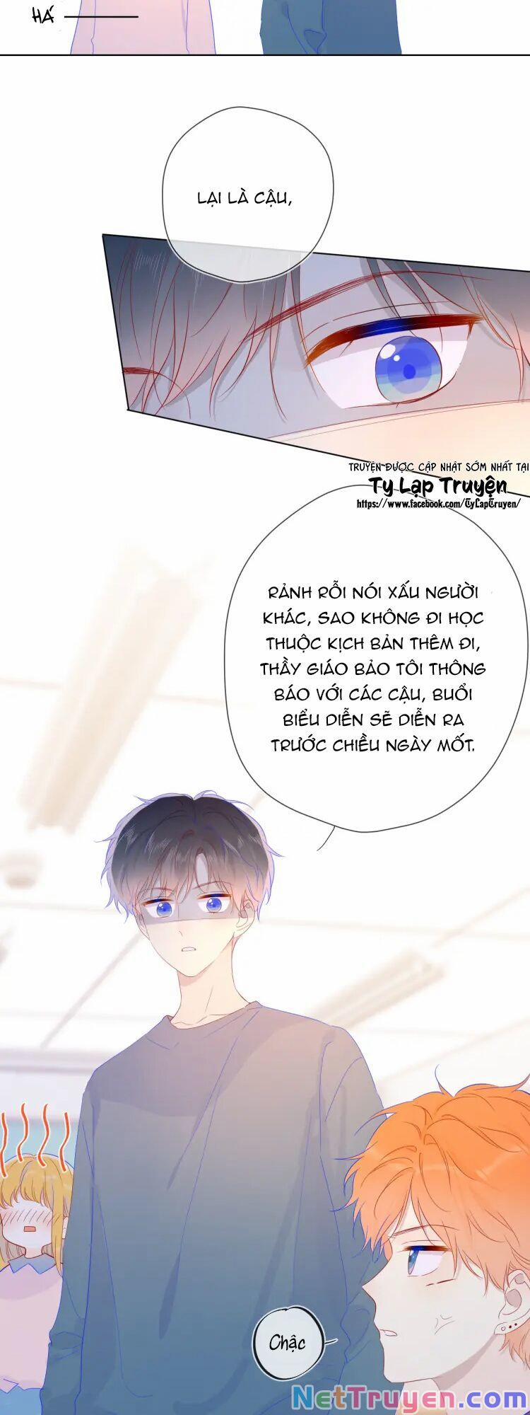 Ngôi Sao Cho Tôi 41 trang 16