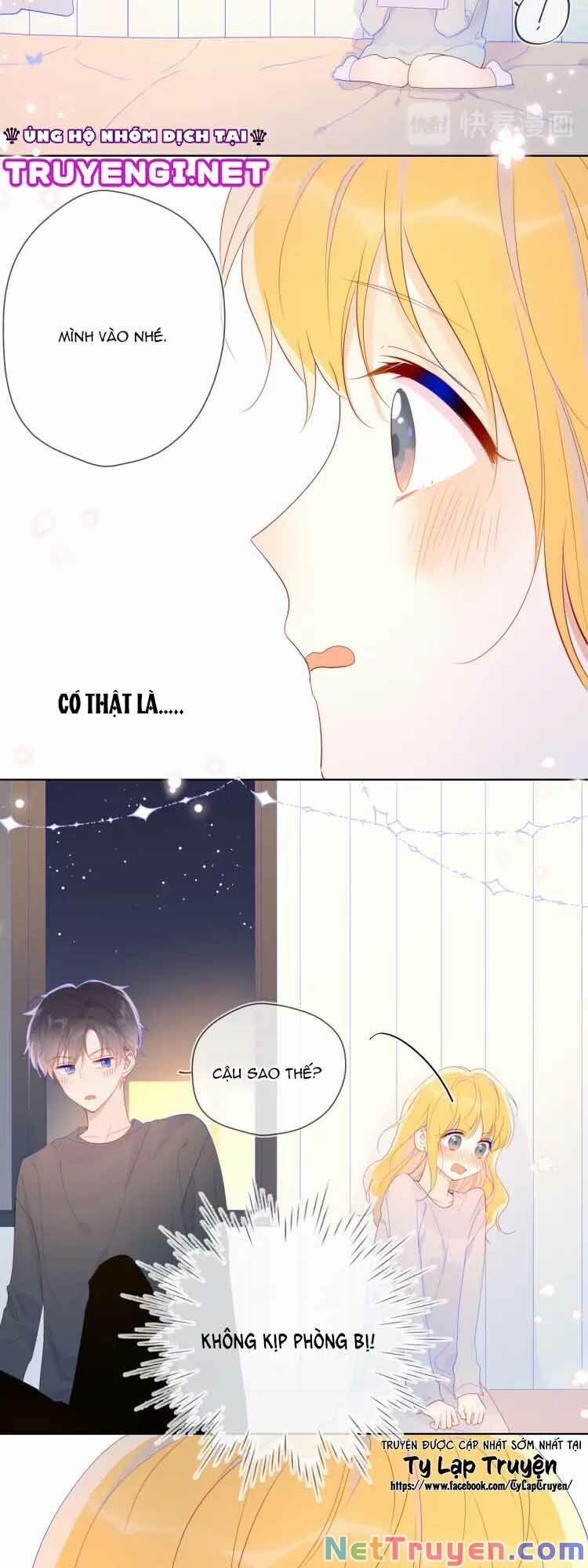 Ngôi Sao Cho Tôi 42 trang 11