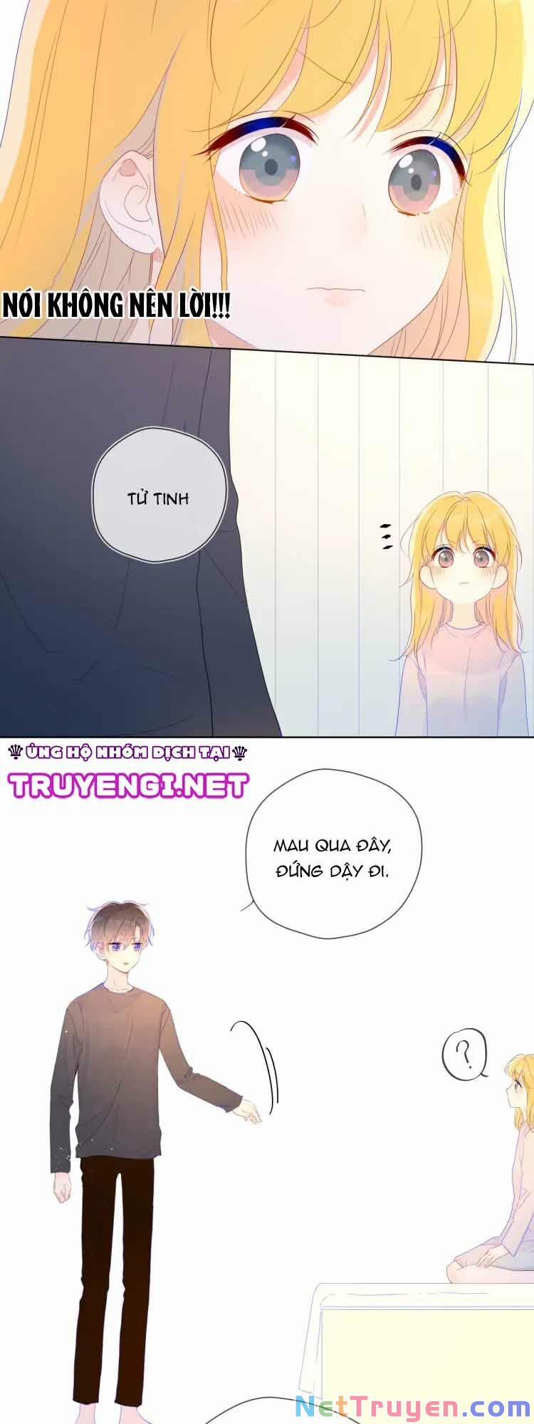 Ngôi Sao Cho Tôi 42 trang 12