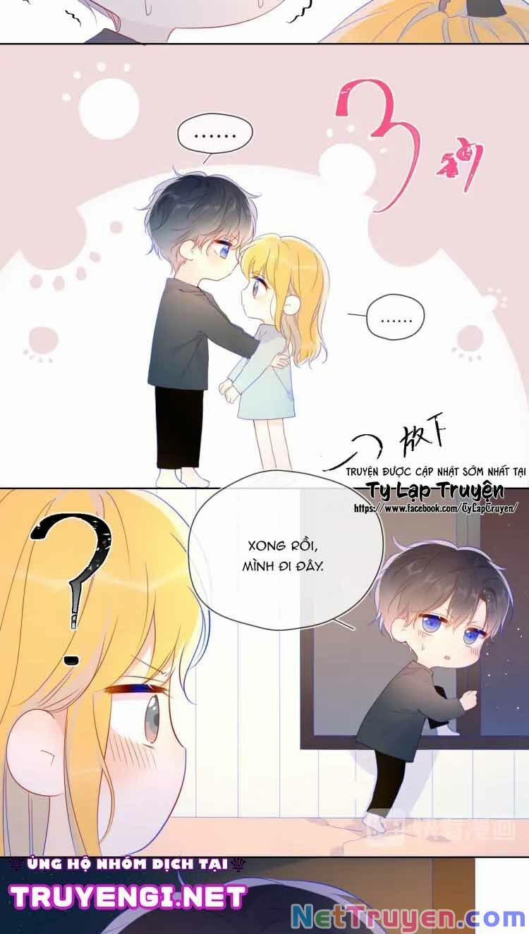 Ngôi Sao Cho Tôi 42 trang 15