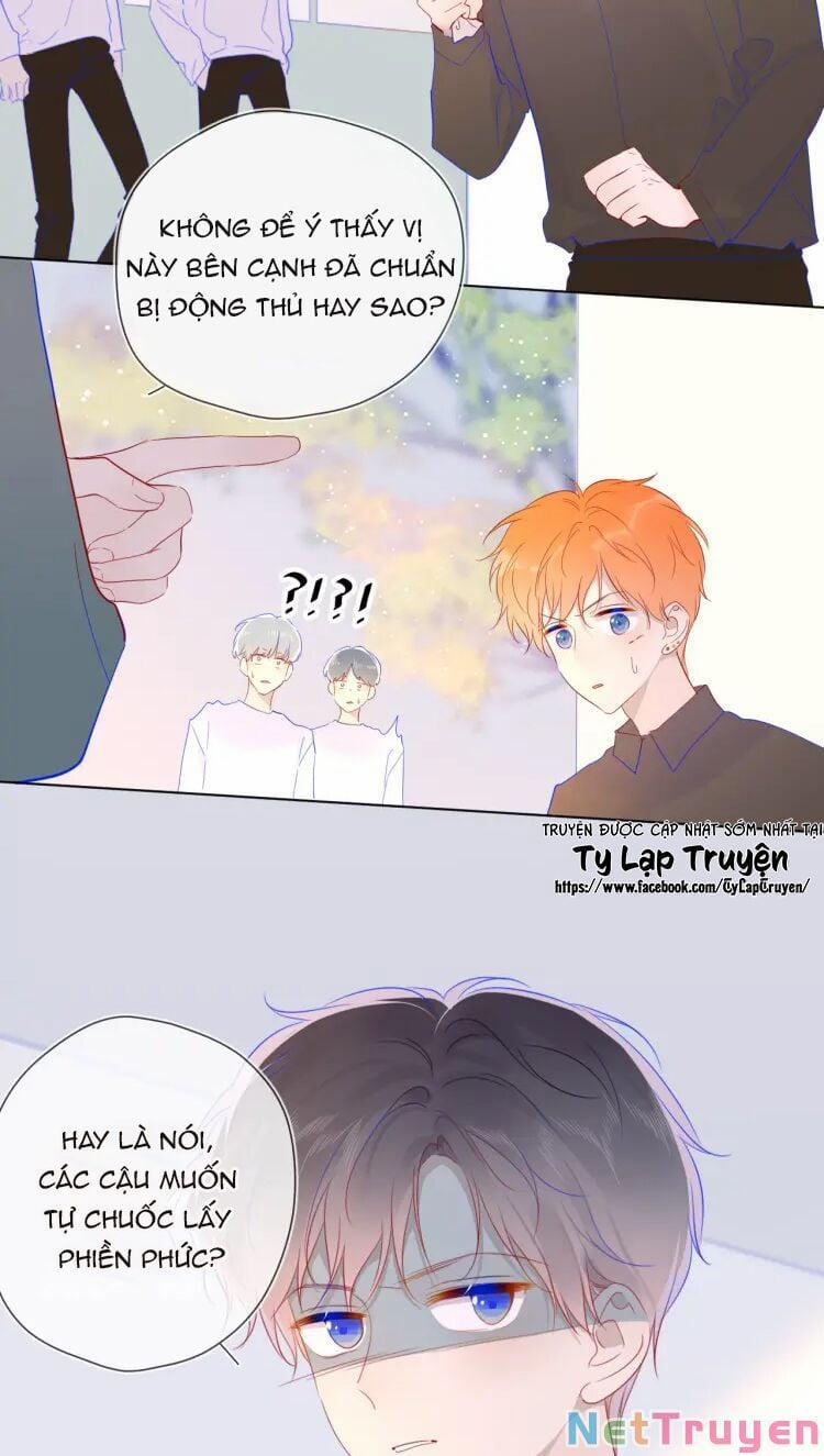 Ngôi Sao Cho Tôi 45 trang 15