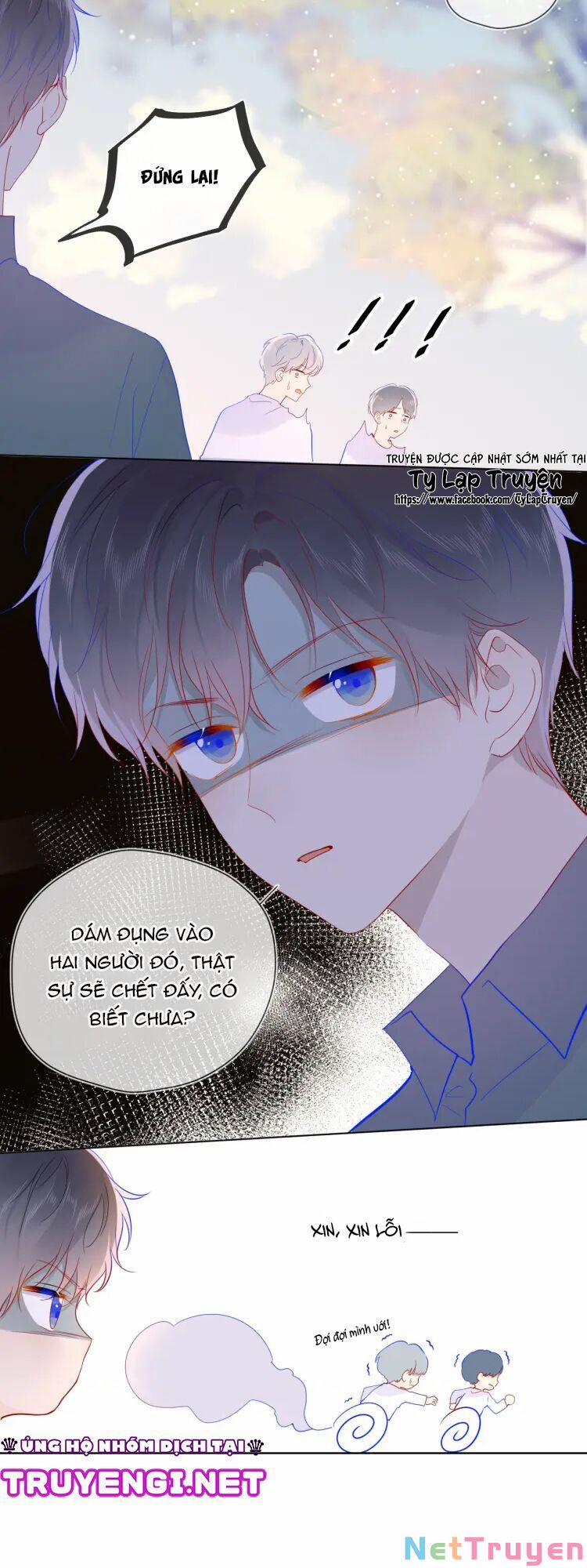 Ngôi Sao Cho Tôi 45 trang 17