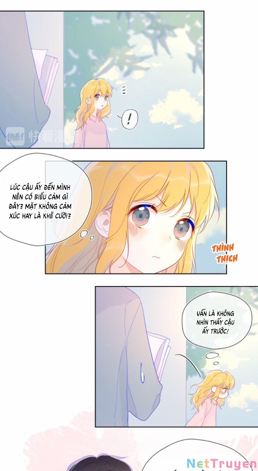 Ngôi Sao Cho Tôi 46 trang 12