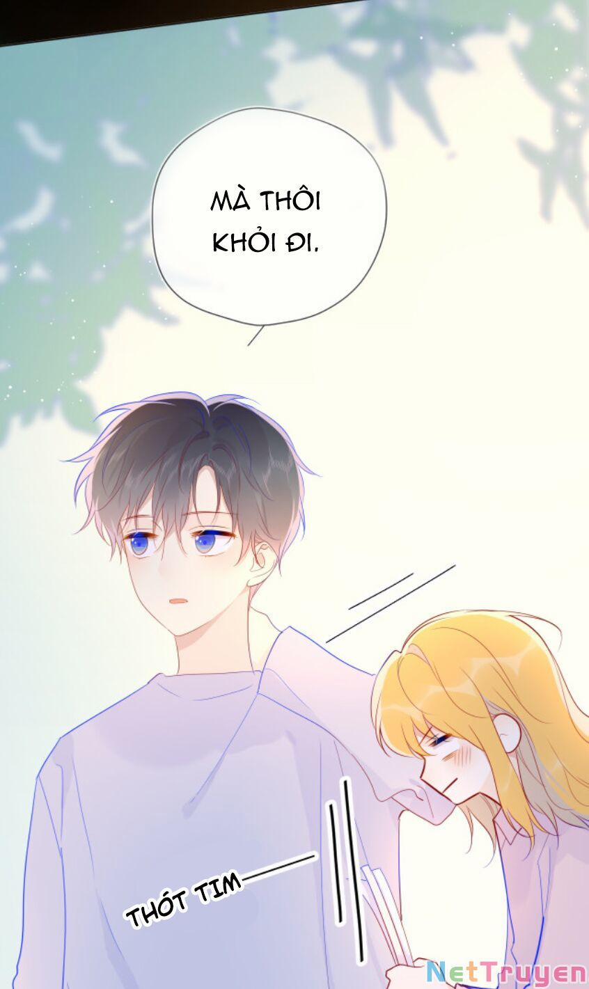 Ngôi Sao Cho Tôi 46 trang 16