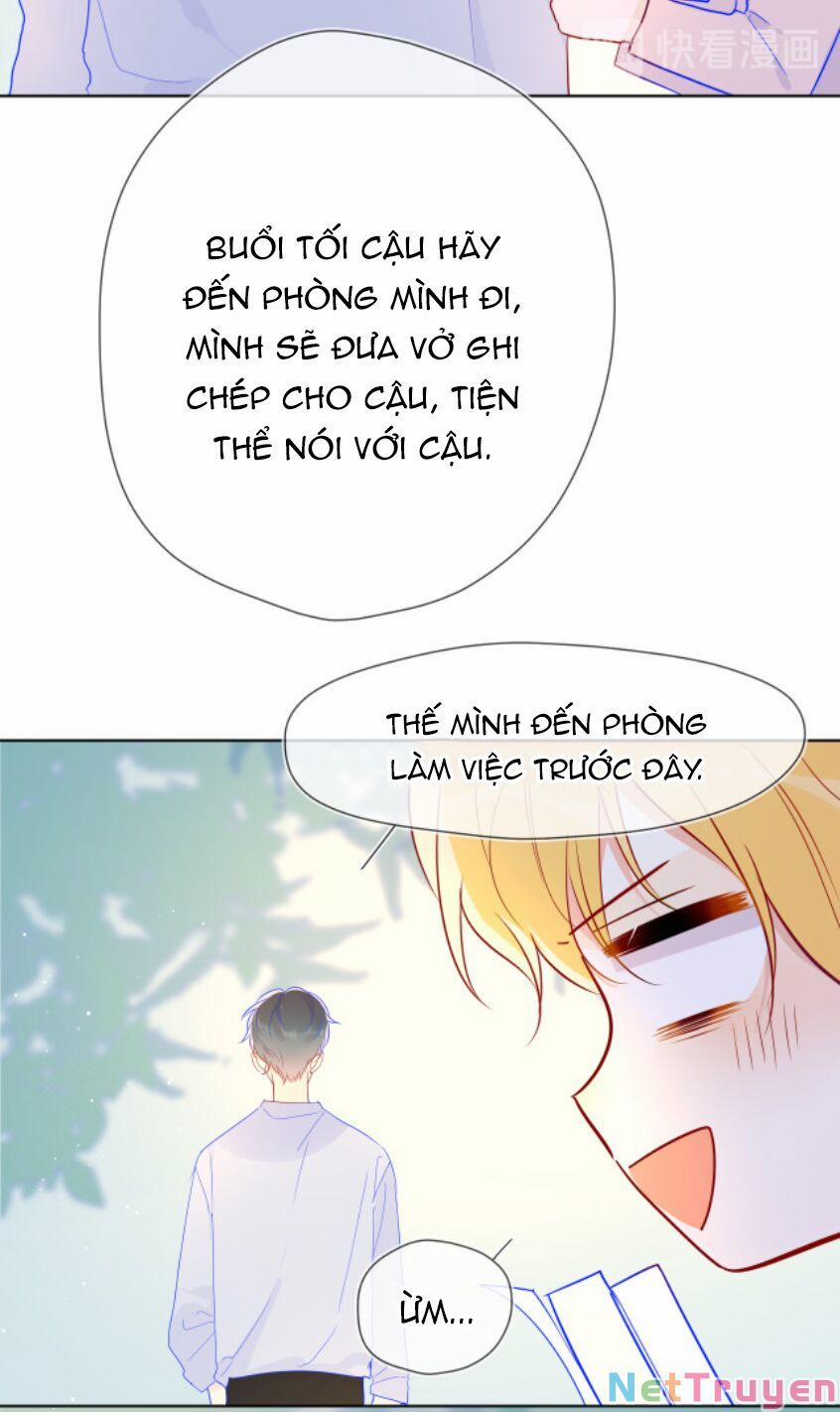 Ngôi Sao Cho Tôi 46 trang 17