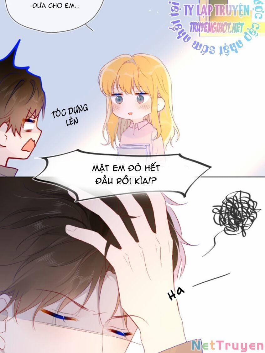 Ngôi Sao Cho Tôi 46 trang 23