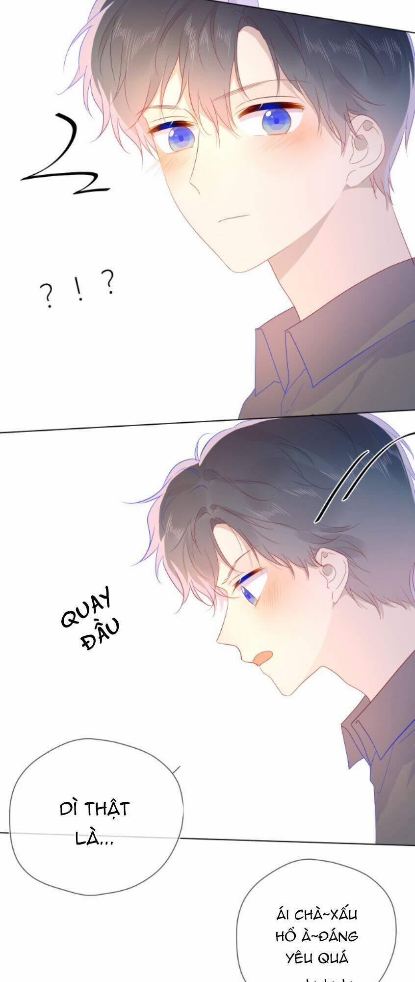 Ngôi Sao Cho Tôi 47 trang 15