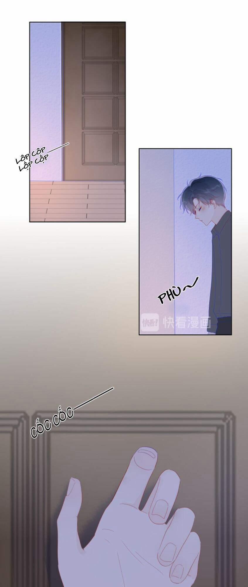 Ngôi Sao Cho Tôi 47 trang 17