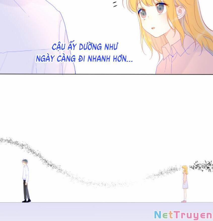 Ngôi Sao Cho Tôi 47 trang 5