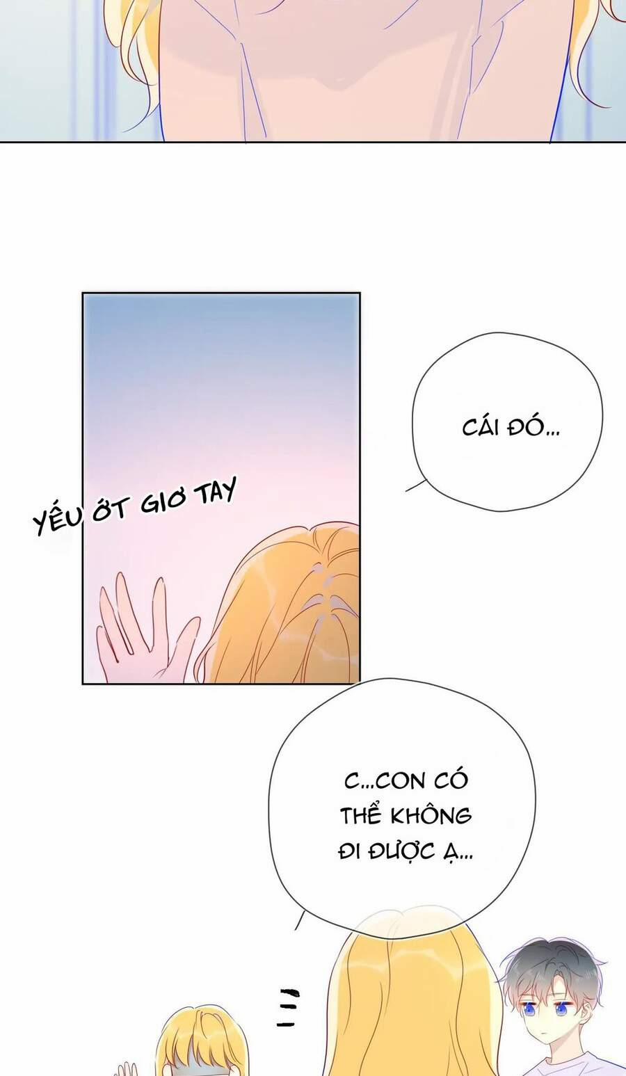 Ngôi Sao Cho Tôi 49 trang 28