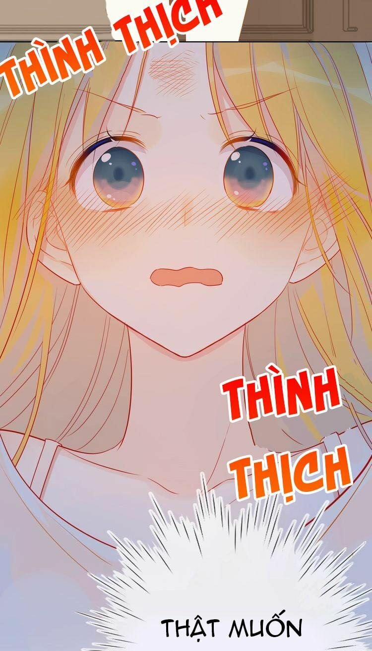 Ngôi Sao Cho Tôi 5 trang 21