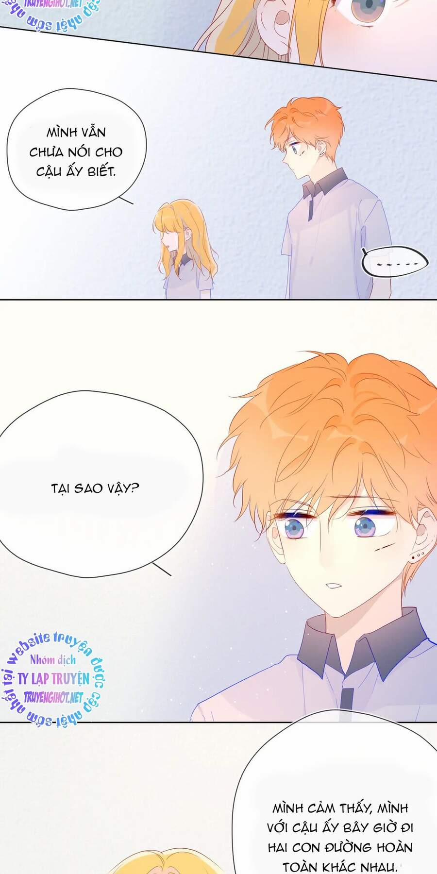 Ngôi Sao Cho Tôi 50 trang 14