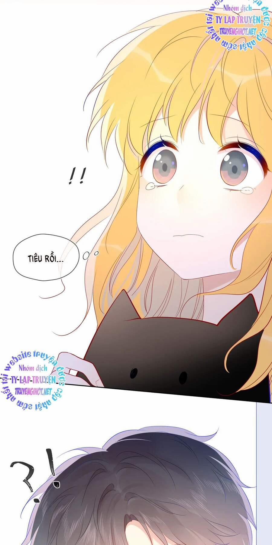 Ngôi Sao Cho Tôi 50 trang 28