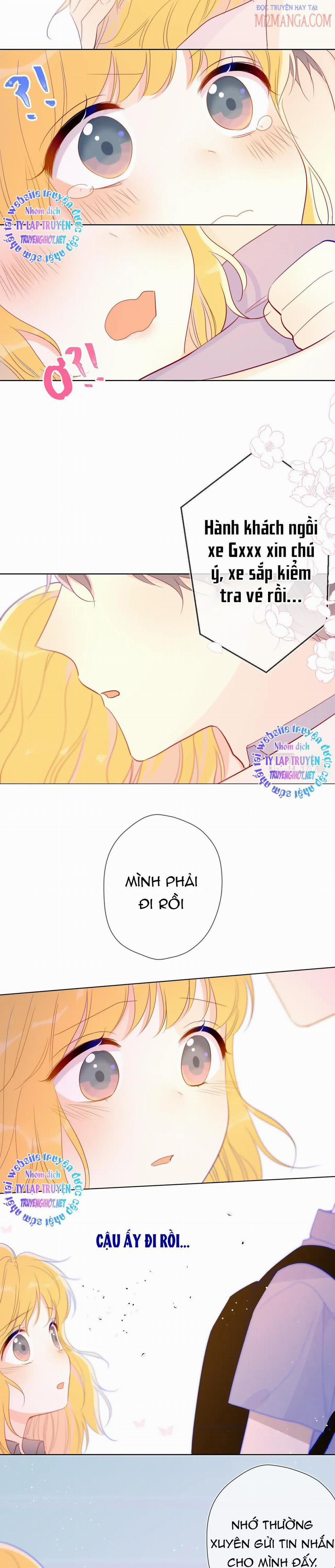 Ngôi Sao Cho Tôi 54 trang 14