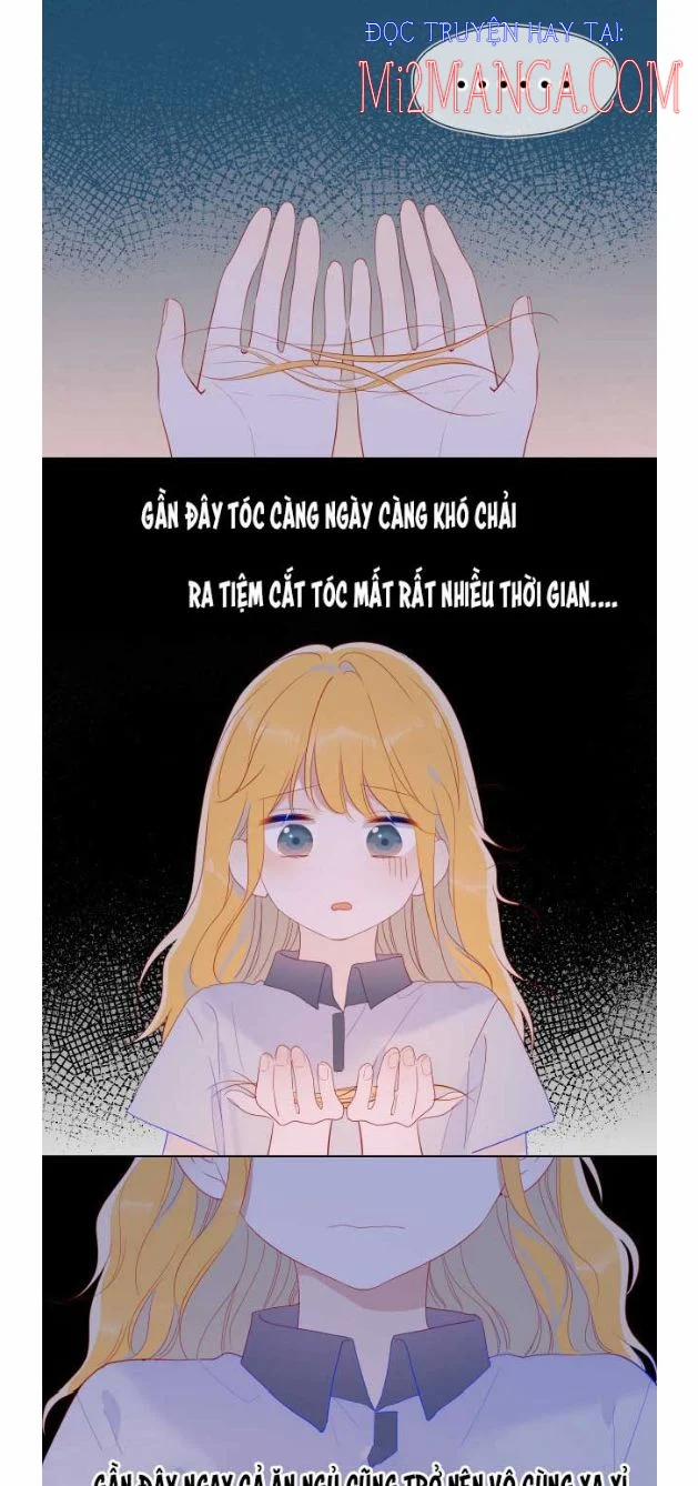 Ngôi Sao Cho Tôi 55 trang 4