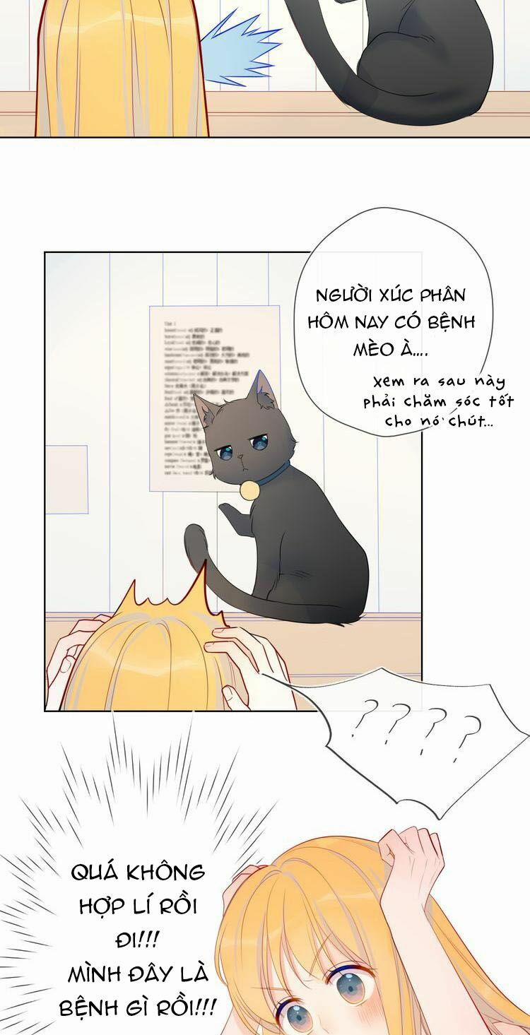 Ngôi Sao Cho Tôi 6 trang 10