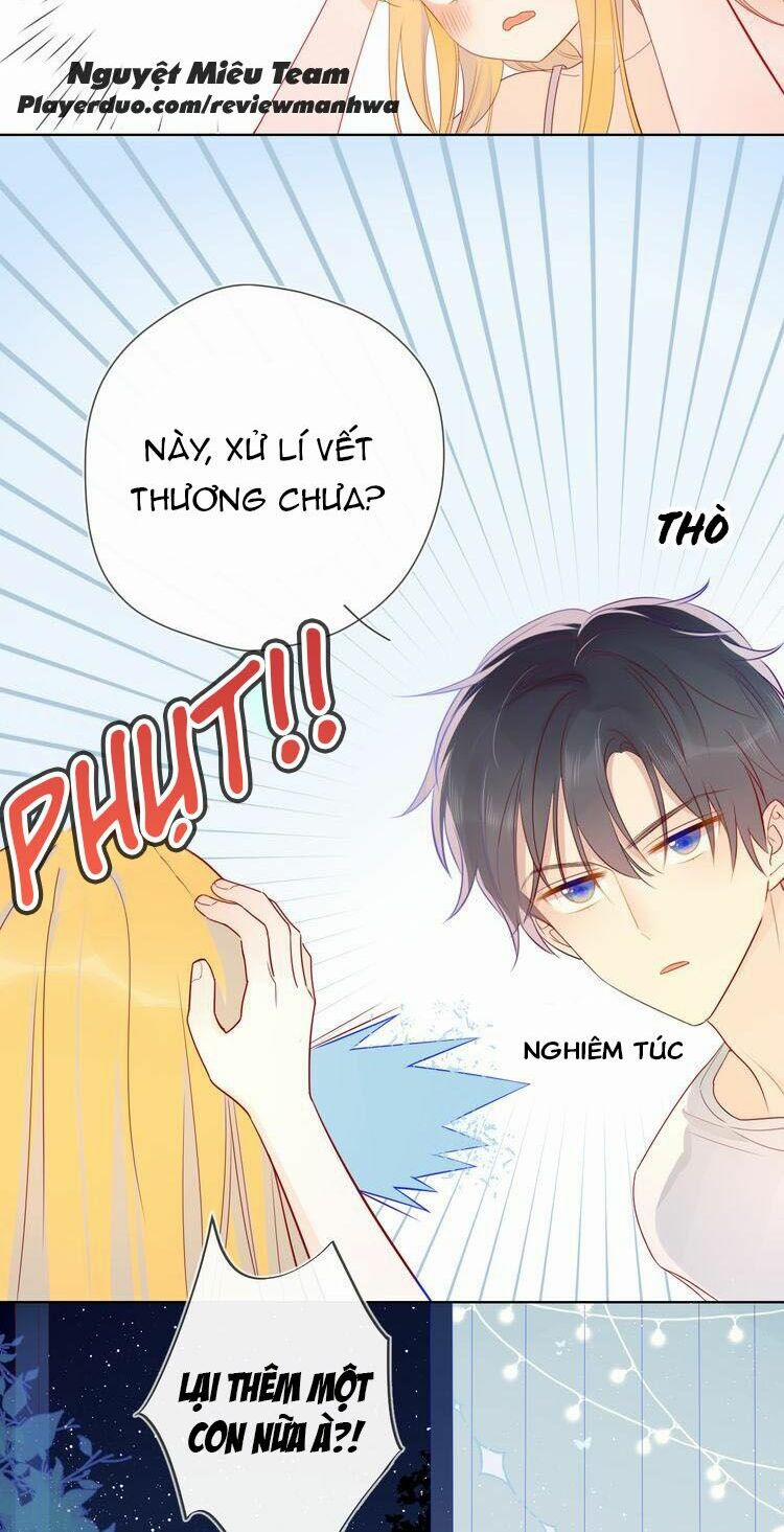 Ngôi Sao Cho Tôi 6 trang 11