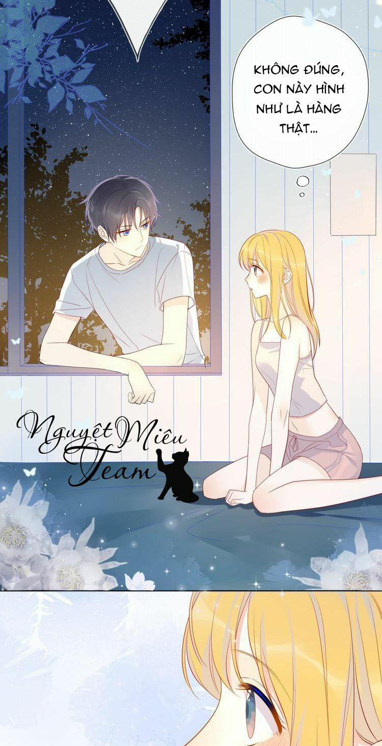 Ngôi Sao Cho Tôi 6 trang 12