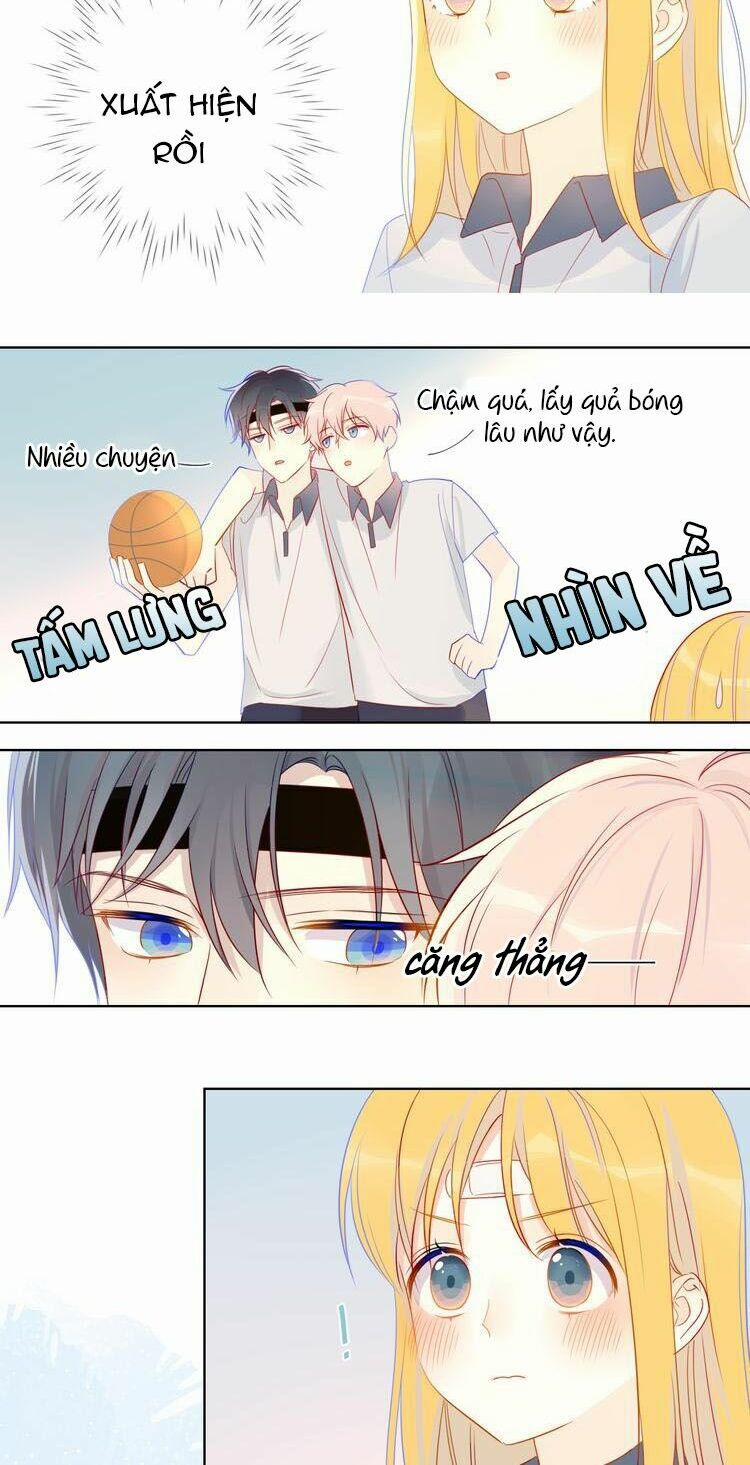 Ngôi Sao Cho Tôi 6 trang 31